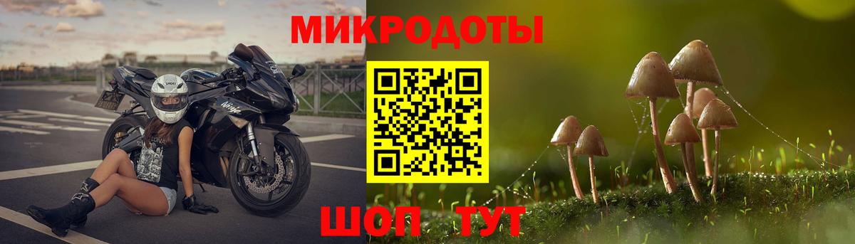 Псилоцибиновые грибы мухоморы  Вход с VPN  Ялта  Псилоцибиновые грибы прущие грибы 